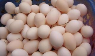 如何长期储存鸡蛋,鸡蛋保鲜终极绝招 鸡蛋的保存方法